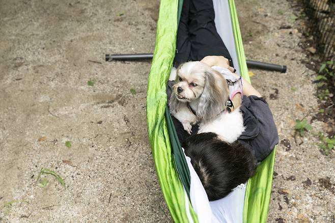 반려인과 반려견이 펫톤치드존에서 해먹 체험을 하고 있다. <양평치유의숲 제공>