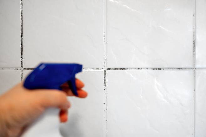 타일 사이 줄눈은 3% 과산화수소로 오염물을 쉽게 제거할 수 있다. 사진=게티이미지뱅크