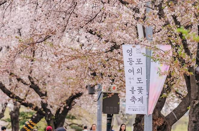 2026 벚꽃·봄꽃 개화시기…명소와 벚꽃 축제, 영등포문화재단