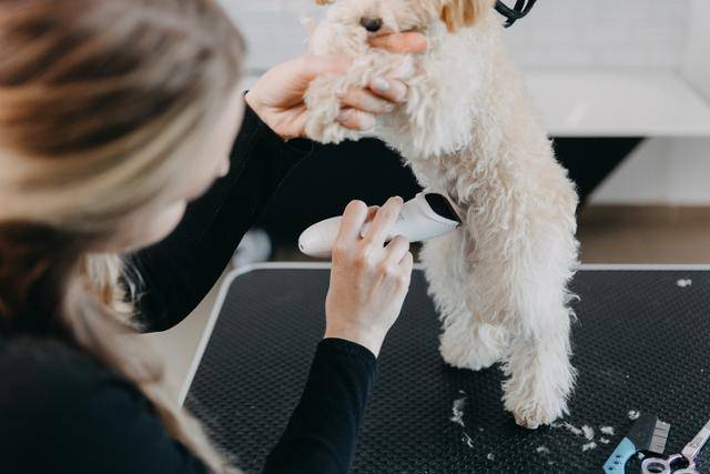 게티이미지뱅크