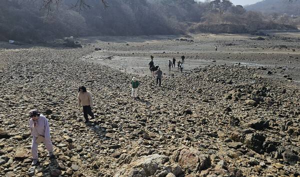 떡바위를 답사하고 있는 탐방단.