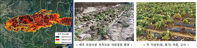 2025년은 역대 최대 규모의 산림 피해를 기록한 대형 산불, 1973년 관측 이래 가장 뜨거웠던 여름, 시간당 100㎜가 넘는 기록적인 집중호우, 108년 만의 극심한 가뭄이 동시다발적으로 나타나 ‘기후위기의 시대’가 심화되고 있음을 보여주고 있다.(국가기후위기대응위원회)