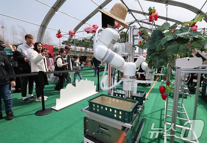 충남 논산 딸기축제가 개막한 26일 논산시민가족공원 행사장에서 로봇 딸기 수확 시연이 진행되고 있다. 2026.3.26 ⓒ 뉴스1 김기태 기자