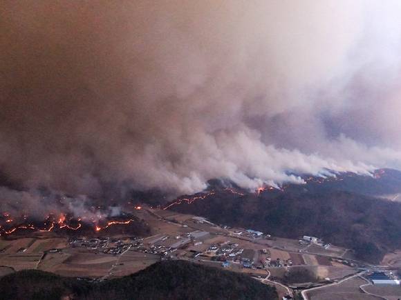 지난해 3월 25일. 남안동 IC 인근에서 바라본 안동시 일직면 야산이 산불에 불타고 있다. [사진=연합뉴스]