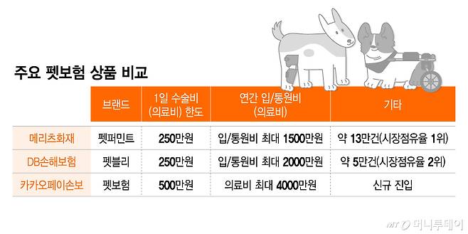 주요 펫보험 상품 비교/그래픽=이지혜