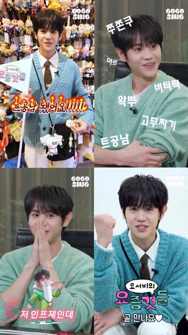 사진 = '고고씽 (GOGOSING)' 유튜브 캡처