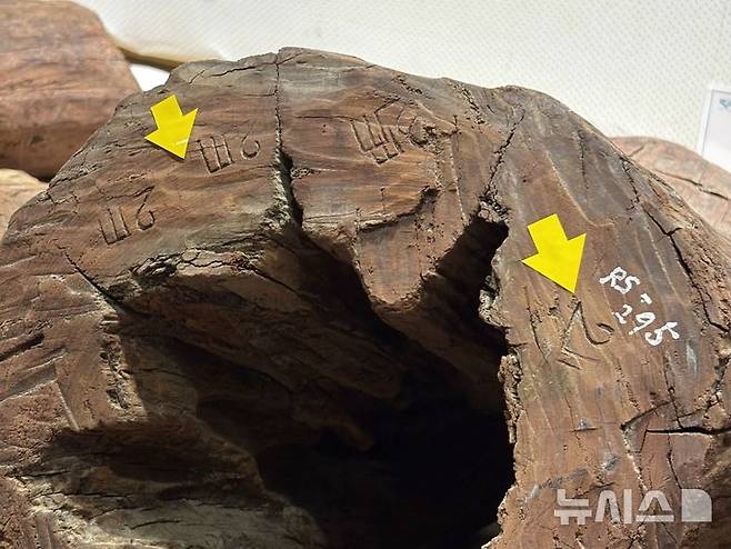 [목포=뉴시스] 한이재 기자 = 25일 후지타 아키요시 덴리대학 국제학부 교수가 신안선 출수 자단목에 새겨진 문양이 파스파 문자일 가능성을 제기했다. 2026.03.25. nowone@newsis.com