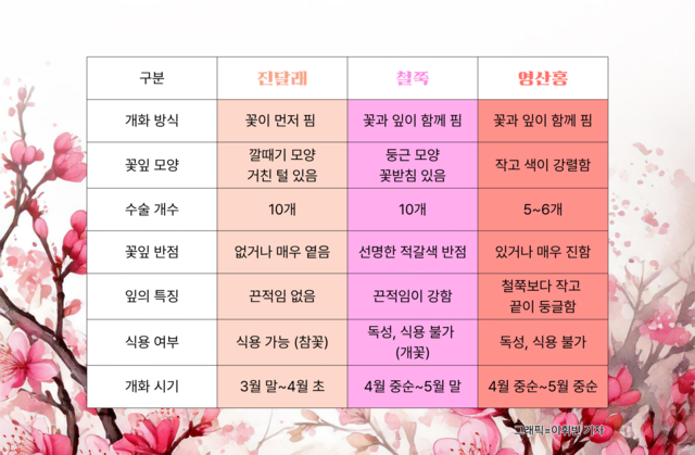 기사의 내용을 도식화한 이미지. 미리캔버스