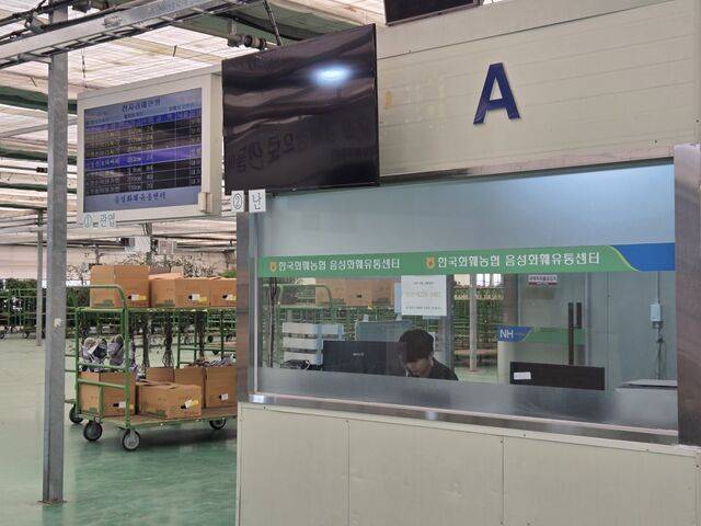 충북 음성화훼유통센터에선 매주 월, 목 화훼 거래가 이뤄 진다. 음성화훼유통센터는 연평균 약 200억원의 거래 실적을 거두고 있다.