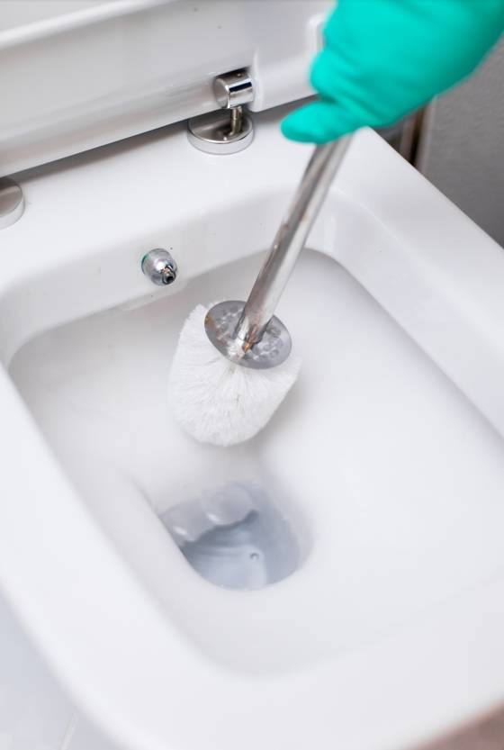 변기 안쪽을 솔로 문질러 청소하는 모습. 물이 닿는 안쪽과 테두리 아래쪽을 함께 관리하는 것이 중요하다. 사진=게티이미지뱅크