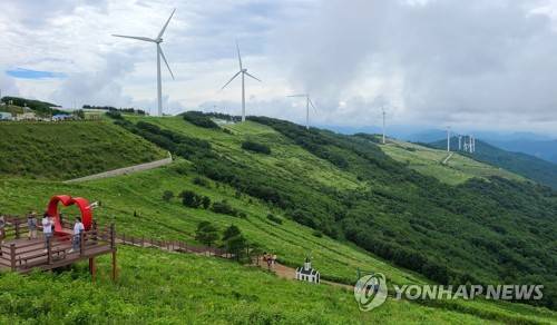 평창육백마지기 [연합뉴스 자료사진]
