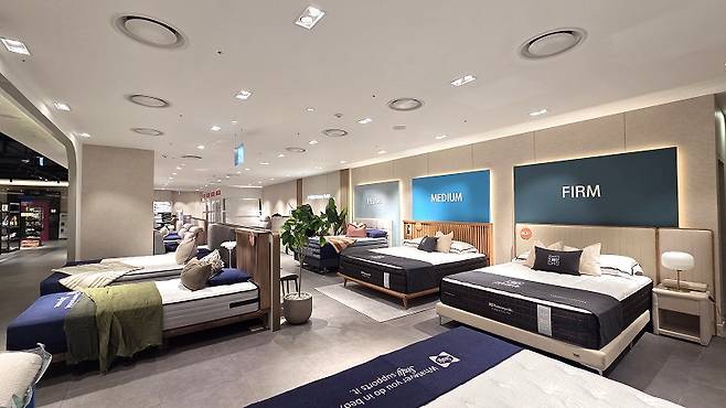 (씰리침대 제공)