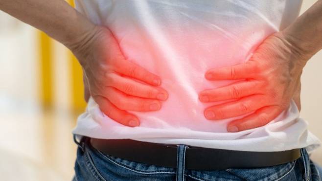 허리 통증 대표 질환 허리디스크vs척추관협착증, 원인부터 다르다｜출처: 게티이미지뱅크