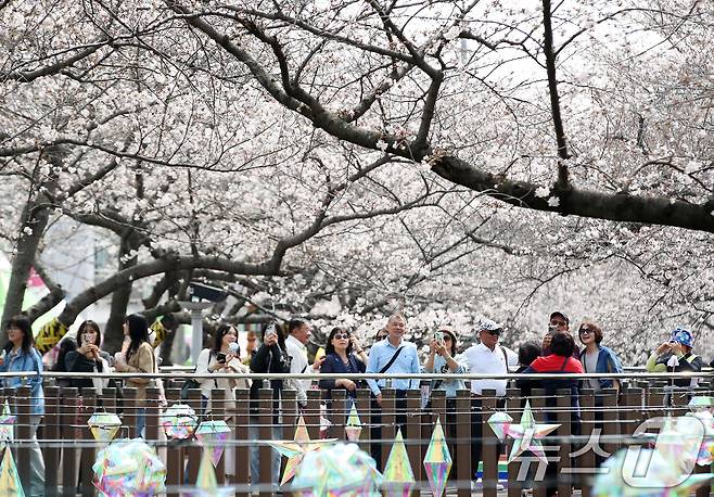 전국 최대 벚꽃 축제인 '제64회 진해군항제'가 개막한 27일 경남 창원 진해구 여좌천을 찾은 관광객들이 벚꽃을 감상하고 있다. 제64회 진해군항제는 이날부터 4월 5일까지 10일간 진해구 전역에서 진행된다. 2026.3.27 ⓒ 뉴스1 윤일지 기자
