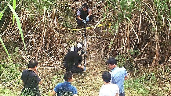 2016년 10월 11일, 필리핀 북부의 한 사탕수수밭에서 한국인 3명의 시신이 발견됐다. 이지훈 경감(왼쪽 둘째)이 현장 감식에 참여해 사건 현장을 살피고 있다. 사진 이지훈 경감