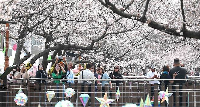 국내 최대 봄꽃 축제 '진해군항제' 개막일인 27일 오후 경남 창원시 진해구 여좌천 일대를 찾은 관광객이 벚꽃을 구경하며 봄기운을 만끽하고 있다. 이날 진해구 최고기온은 22도를 기록했다.연합뉴스