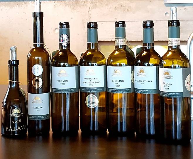 손베르크 와인. 최현태 기자