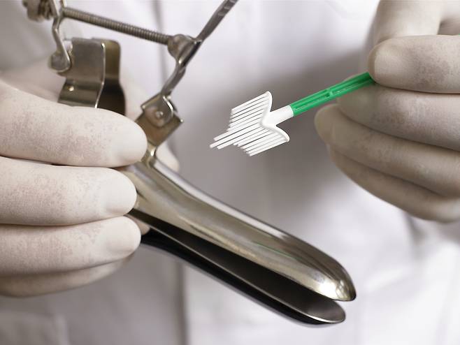 클립아트코리아