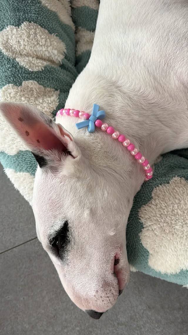 /사진=이혜영 개인계정