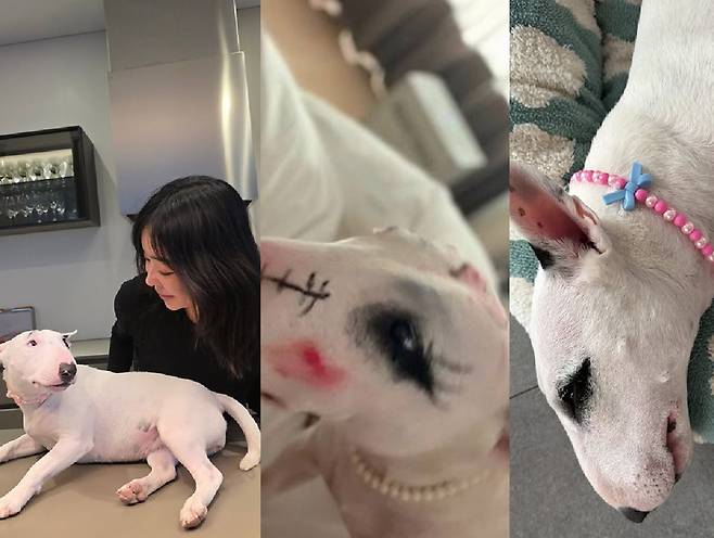 이혜영이 공개한 근황.