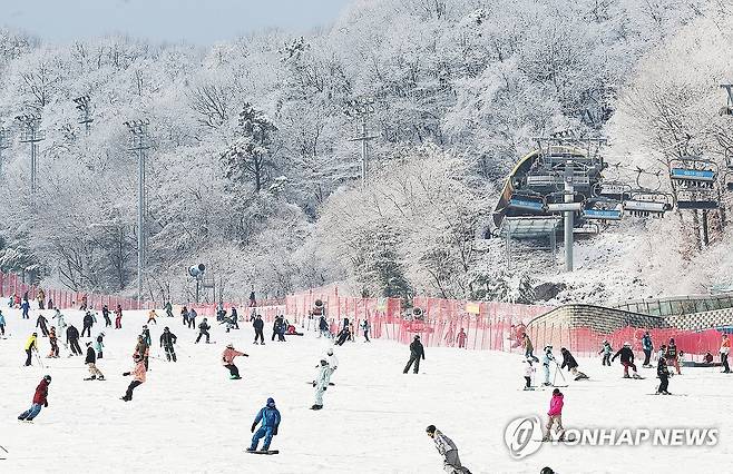 스키장 [연합뉴스 자료사진]