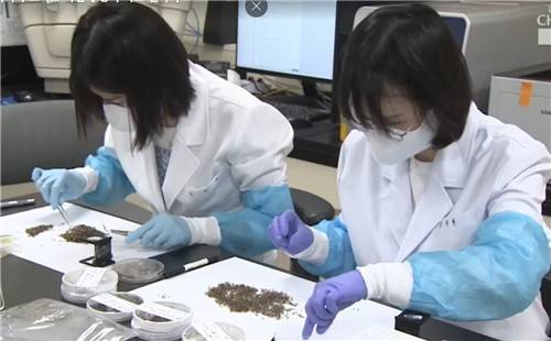 말라리아 매개 모기 감시사업 [경기도 제공. 재판매 및 DB 금지]