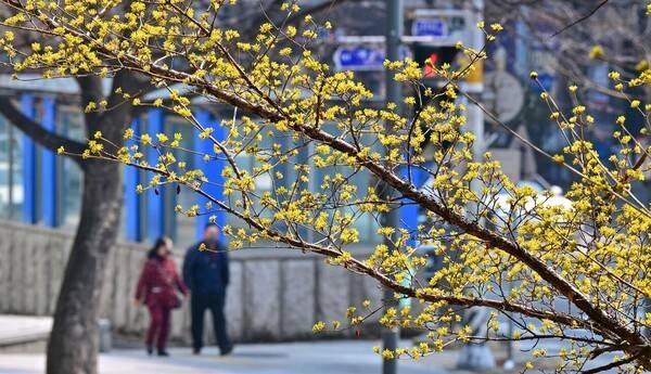 사진 = 이진우 기자