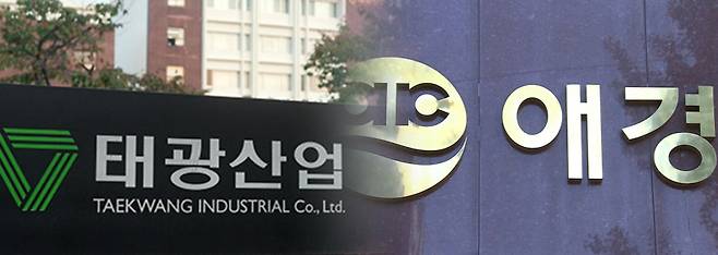 / 이미지=정승아 디자이너