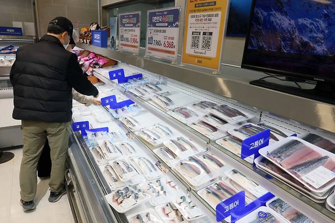 해양수산부가 '수산인의 날'을 앞두고 봄철 제철 수산물 소비를 촉진하고 물가 안정을 도모하기 위해 '대한민국 수산대전'을 개최한 가운데 24일 서울의 한 대형마트에서 시민들이 수산물을 살펴보고 있다. 이번 행사는 내달 12일까지 전국 56개 온오프라인 판매처에서 진행되며, 명태·고등어·갈치·오징어 등 주요 수산물을 최대 50% 할인된 가격에 구입할 수 있다. 특히 이번 행사에선 최근 가격 상승으로 소비자 부담이 커진 고등어를 저렴하게 공급하기 위해 300g 내외의 소형 고등어로 구성한 '국민 실속 고등어'를 선보인다. 신태현 기자 holjjak@