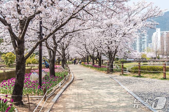 김해 연지공원.(김해시 제공. 재판매 및 DB금지)