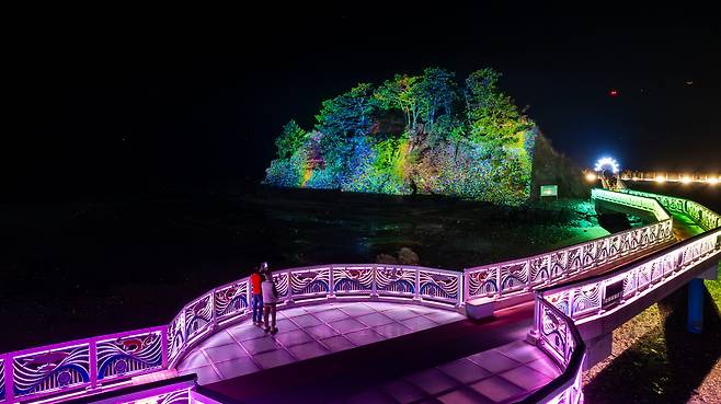 밤이 되면 미디어아트 스크린으로 변신하는 닭벼슬섬. 보령의 명소들이 미디어아트로 구현된다. / 이건송 영상미디어 기자