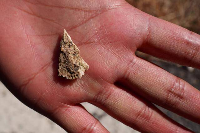 3월 20일 무안국제공항 활주로 로컬라이저 인근에서 유족들에 의해 발견된 유해 추정 물체. 무안=하상윤 기자