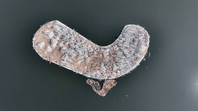 경기도 수원시 팔달구 서호공원(축만제) 인공섬이 민물가마우지 배설물로 하얗게 덮여 있다. 김성룡 기자