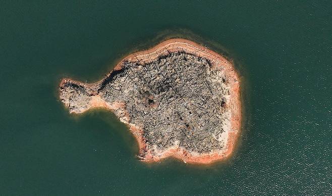 그리고 2026년. 울창하던 숲이 사라지고 말라 죽은 나무들만 남은 충남 대청호 고래섬.