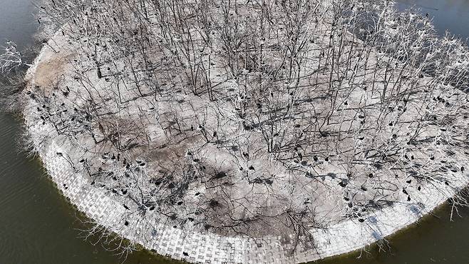 드론을 이용해 가까이 다가가서 본 서호공원 인공섬.