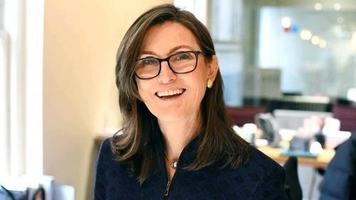 캐시 우드 아크 인베스트 최고경영자(CEO) [페이스북 캡쳐]