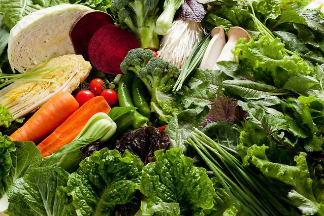탄수화물 함량이 낮은 잎채소와 당근 등의 채소는 다이어트를 할 때 풍부하게 먹어도 좋은 식품으로 꼽힌다. 사진=클립아트코리아