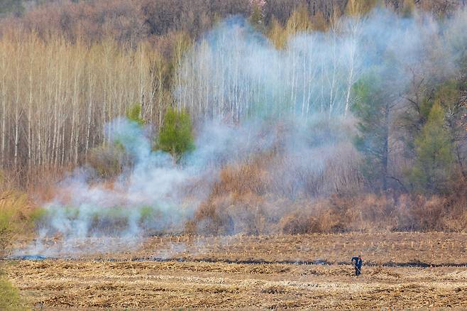 중국 지린성에서 영농 부산물을 태우는 농부. 출처 : www.sixthtone.com