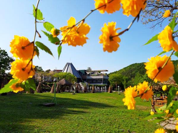 소나기마을의봄.  황순원소나기마을 제공