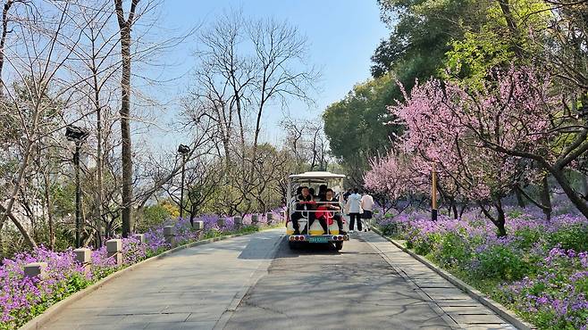구이산은 정상까지 전기차가 운영된다. 사진|강석봉 기자