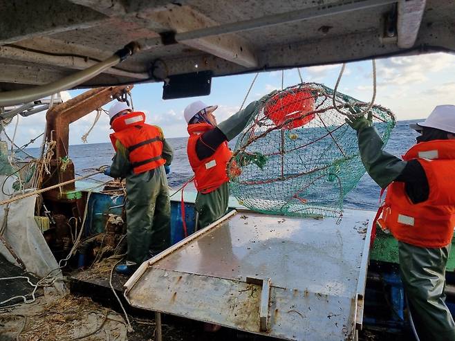 포항 앞바다에서 대게 조업을 하는 선원들이 통발 작업을 하고 있다. /정성윤 구룡포 근해채낚기선주협회장 제공