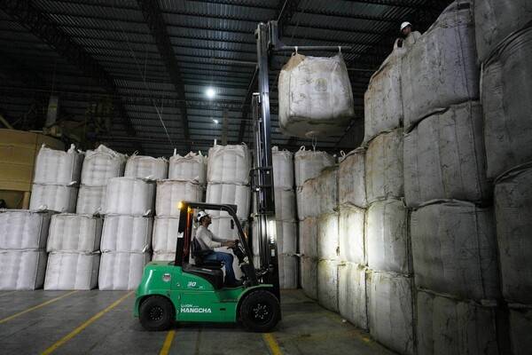 브라질 에스피리투산투주 상가브리엘다팔랴에 있는 쿠아브리엘 로부스타 협동조합 창고에서 지게차가 커피콩이 담긴 대형 자루들을 옮기고 있다. [출처=연합뉴스]