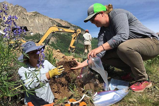 로키 산맥 생물학 연구소 연구진들이 온열 초지 현장에서 토양을 채취하는 모습. (사진 RMBL)/뉴스펭귄