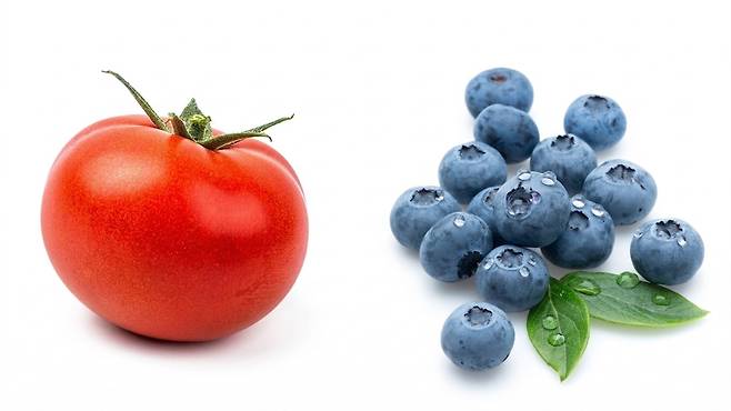 토마토와 블루베리는 항염 효과가 뛰어나다 | 출처: 클립아트코리아, Gemini 생성
