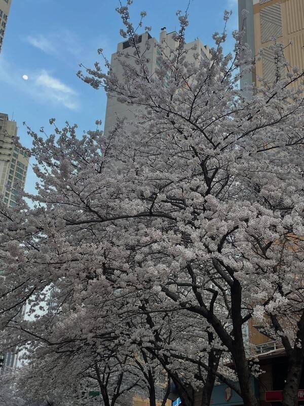 사진 = 29기 정숙 인스타그램 캡처