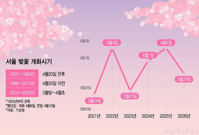 서울 벚꽃 개화시기/그래픽=이지혜