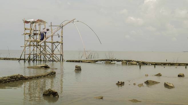 인도네시아 자와 틍아주 데막군 한 해안가 마을의 해수면 상승이 진행되고 있다.[그린피스 제공]