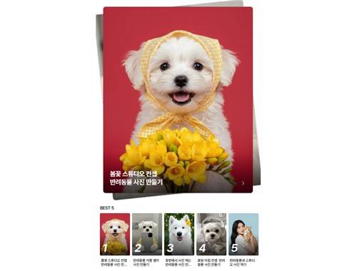 'AI 놀이터' 반려동물 콘셉트 콘텐츠 모음 [에이블리 제공]