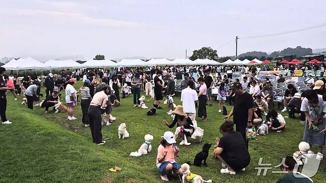 반려동물 운동회 '우리동네 개체능' 현장.(시흥시 제공)