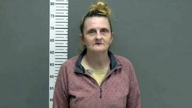 얼굴인식 소프트웨어 분석 결과로 용의자로 지목돼 체포됐던 앤절라 립스의 당시 머그샷. 립스는 사건과 무관한 것으로 확인돼 석방됐다.
사진=Fargo Police Department